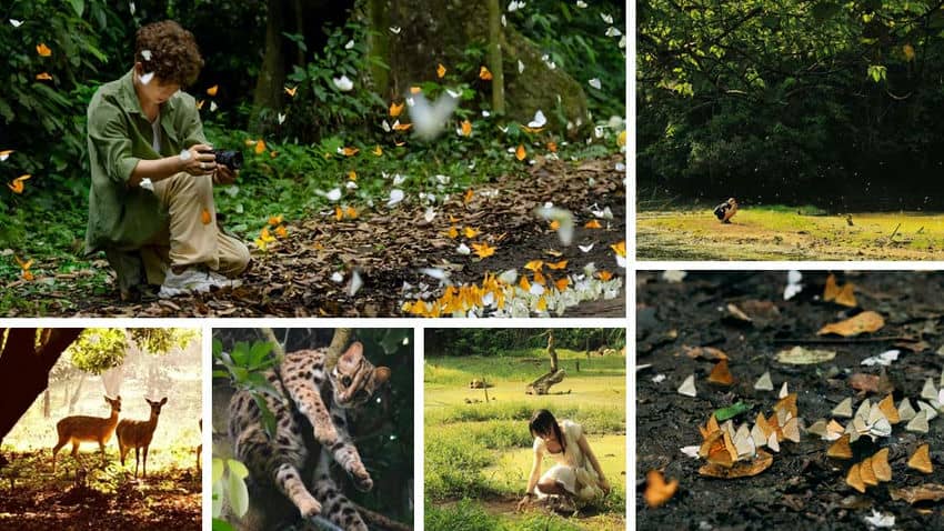 Parque Nacional Cuc Phuong