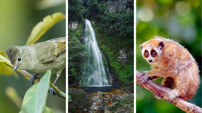 Parque Nacional Hoang Lien