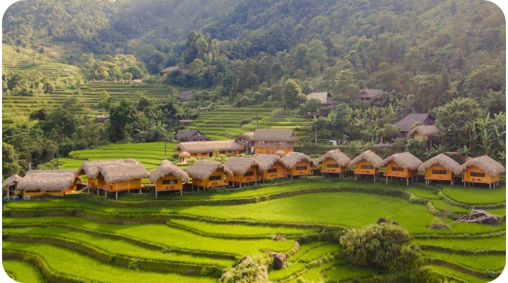 Hoang Su Phi 