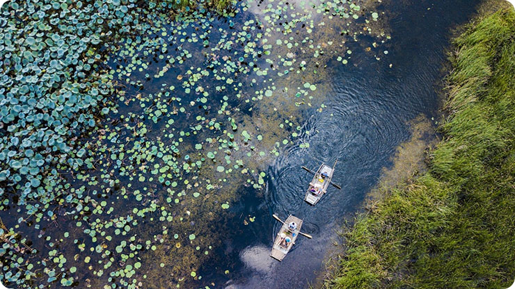 Andar de barco na lagoa Van Long