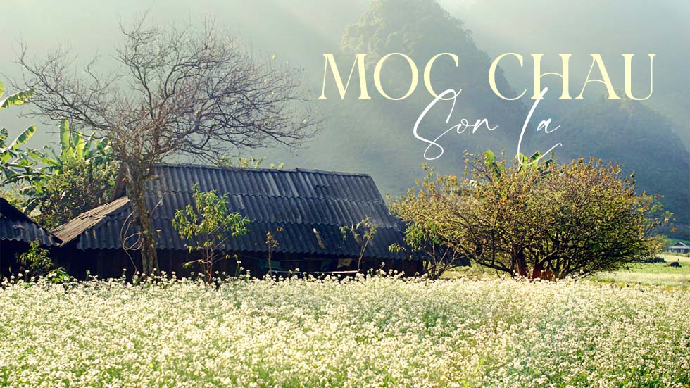 Moc Chau