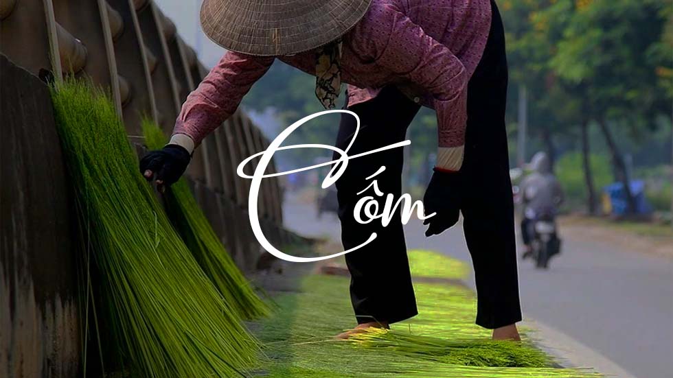 Cốm Vietnã