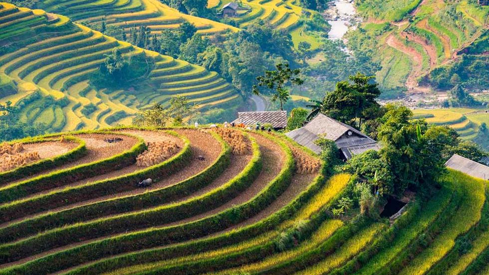 Hoang Su Phi