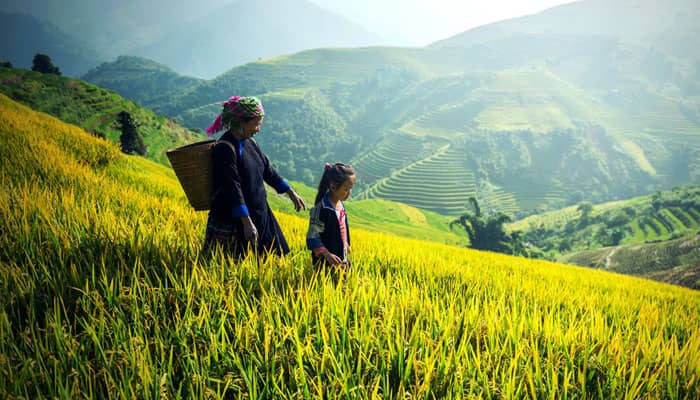 Lao Cai