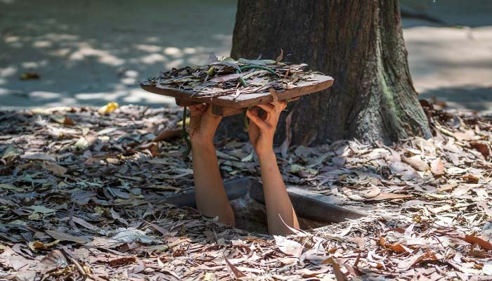 cu chi