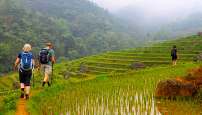 Mai Chau