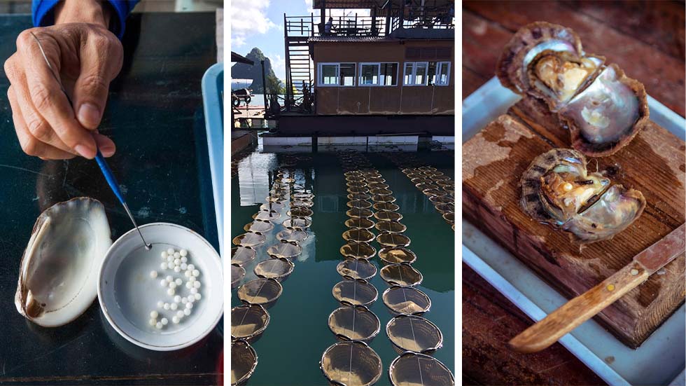 Fábrica de pérolas