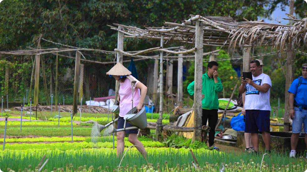Vilarejo de vegetais Tra Que