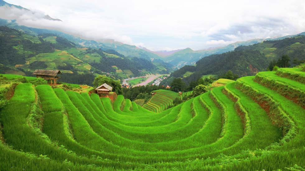 Mu Cang Chai