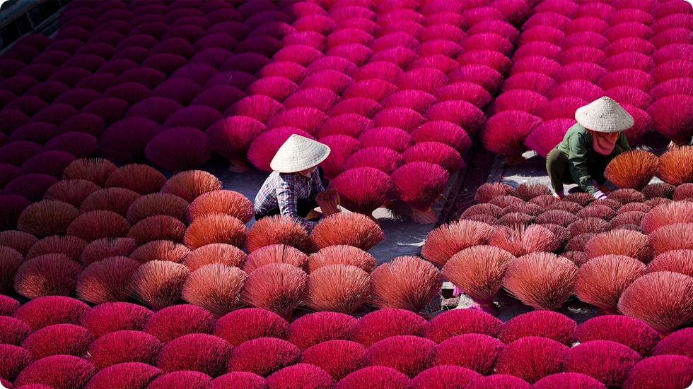 Aldeia de incenso Quang Phu Cau