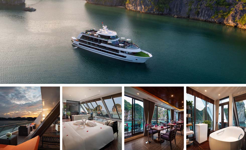 Stellar of the Seas cruise