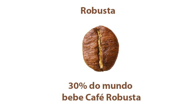 Café Robusta