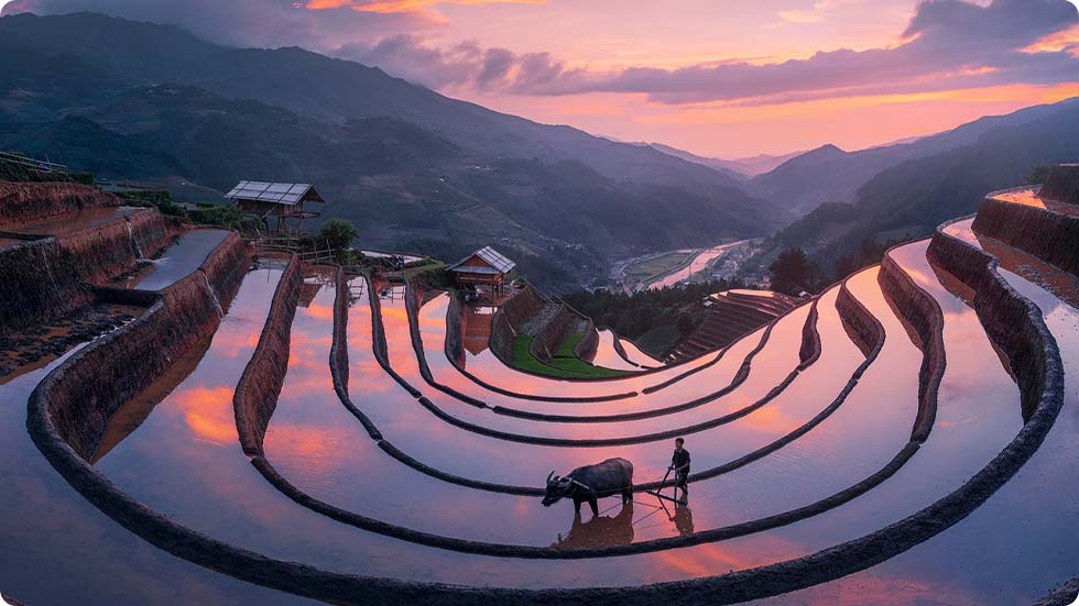 Terraços de arroz