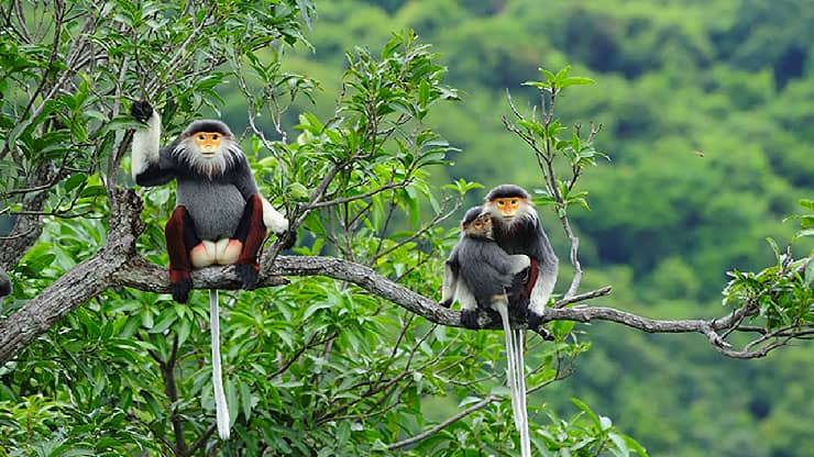 Parque Nacional de Con Dao